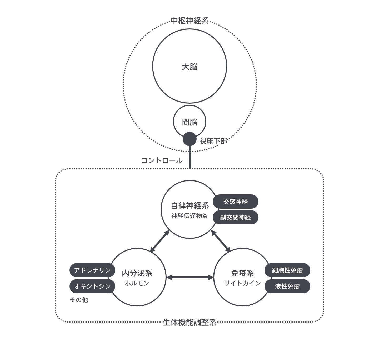 中枢神経系と生体機能調整系